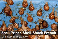 Snail Prices Shell-Shock French