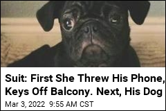 Suit: First She Threw His Phone, Keys Off Balcony. Next, His Dog