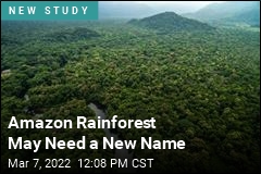 Amazon Rainforest May Need a New Name