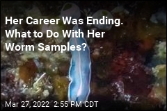 Her Career Was Ending. What to Do With Her Worm Samples?