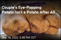 Couple&#39;s Eye-Popping Potato Isn&#39;t a Potato After All