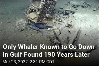 Only Whaler Known to Go Down in Gulf Found 190 Years Later