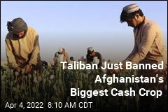It Keeps Afghan Farmers Afloat. The Taliban Just Banned It