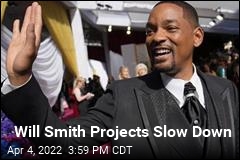Hollywood Slows Will Smith Projects