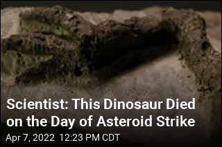 Scientist: This Dinosaur Died on the Day of Asteroid Strike