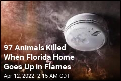 97 Animals Killed When Florida Home Goes Up in Flames