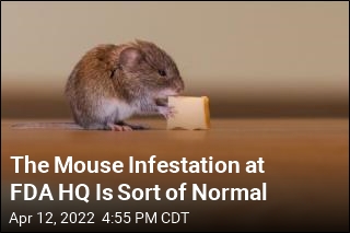 FDA Staff Returning to Offices Find Mouse Infestation