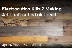 2 Making &#39;Highly Dangerous&#39; Art Hot on TikTok Are Electrocuted