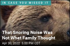 Family Thought They Heard Snoring. Turned Out 5 Bears Were Living Under House