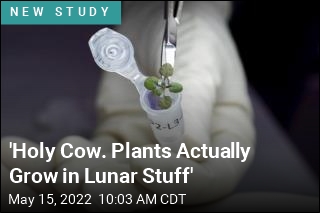 &#39;Holy Cow. Plants Actually Grow in Lunar Stuff&#39;
