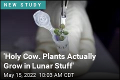 &#39;Holy Cow. Plants Actually Grow in Lunar Stuff&#39;