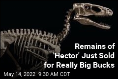 Dino Skeleton That Inspired Jurassic Park Sells for $12.4M