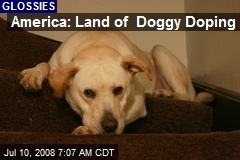 America: Land of Doggy Doping