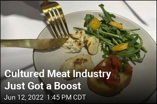 Cultured Meat Industry Just Got a Boost