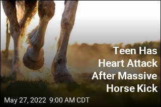 Teen Has Heart Attack After Massive Horse Kick