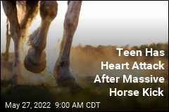 Teen Has Heart Attack After Massive Horse Kick