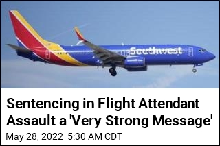 Sentencing in Flight Attendant Assault a &#39;Very Strong Message&#39;