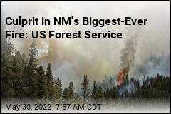 US Forest Service&#39;s Planned Burns Didn&#39;t Go as Planned