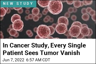 Study May Be a First &#39;in the History of Cancer&#39;