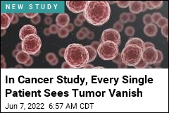 Study May Be a First &#39;in the History of Cancer&#39;