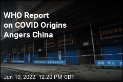 China Slams WHO Report on COVID Origins