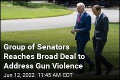 Senate Negotiators Reach Outline to Deal With Gun Violence