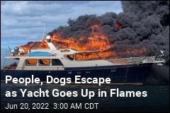 People, Dogs Jump Overboard as Yacht Burns, Sinks