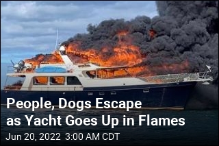 People, Dogs Jump Overboard as Yacht Burns, Sinks
