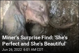 Miner&#39;s Surprise Find: &#39;She&#39;s Perfect and She&#39;s Beautiful&#39;