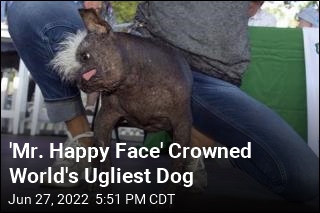&#39;World&#39;s Ugliest Dog&#39; Is Loaded With Inner Beauty