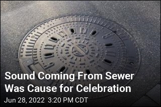 Sound Coming From Sewer Was Cause for Celebration