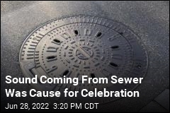 Sound Coming From Sewer Was Cause for Celebration