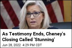 As Testimony Ends, Cheney&#39;s Closing Called &#39;Stunning&#39;