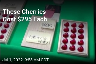 15 Cherries Sell for Almost $300 Each