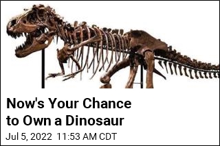Now&#39;s Your Chance to Own a Dinosaur