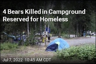 4 Bears Killed in Campground Reserved for Homeless