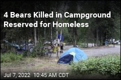 4 Bears Killed in Campground Reserved for Homeless