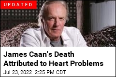 Godfather Actor James Caan Is Dead