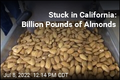A Billion Pounds of Almonds Can&#39;t Get Out of California
