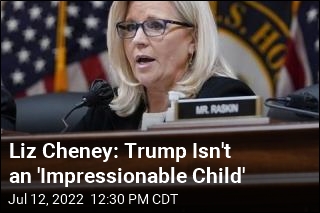 Liz Cheney: Trump Isn&#39;t an &#39;Impressionable Child&#39;