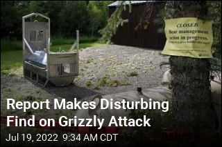 Grizzly Treated Doomed Cyclist as Prey: Report