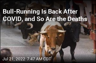 3 Die From Spanish Bull Runs in 24-Hour Span
