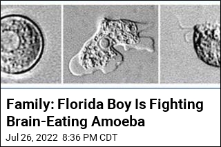 Family Says Florida Boy, 13, Is Battling Brain-Eating Amoeba