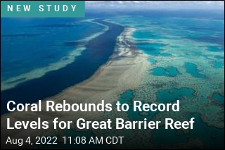 For Great Barrier Reef, Some Rare Good News