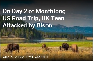 On Day 2 of Monthlong US Road Trip, UK Teen Attacked by Bison