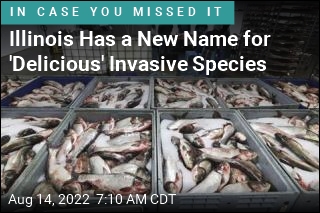 &#39;Delicious&#39; Invasive Species Has a New Name