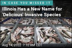 &#39;Delicious&#39; Invasive Species Has a New Name