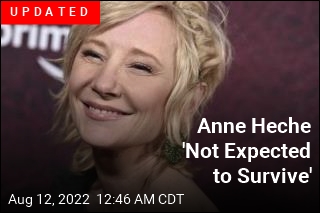 Anne Heche Had Cocaine in Her System: Police Source