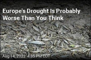 Europe&#39;s Drought Could Be Worst in 500 Years