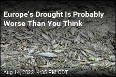 Europe&#39;s Drought Could Be Worst in 500 Years